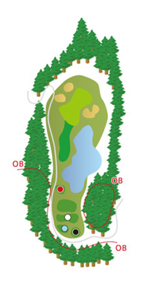 HOLE12